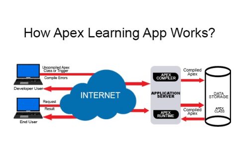 Microsoft Apex Learning : Computer Training – SGVNKF